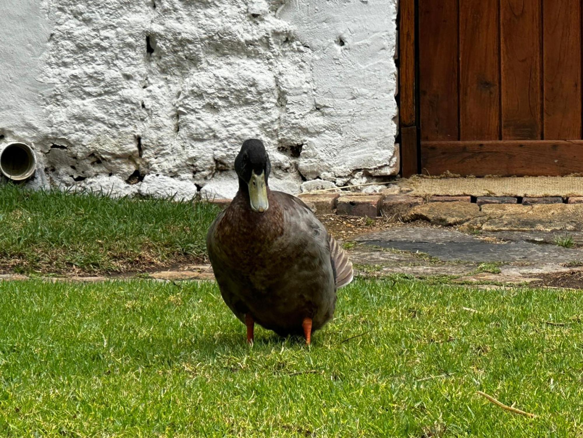 Finca San Pedro Sogamoso Bagian luar foto