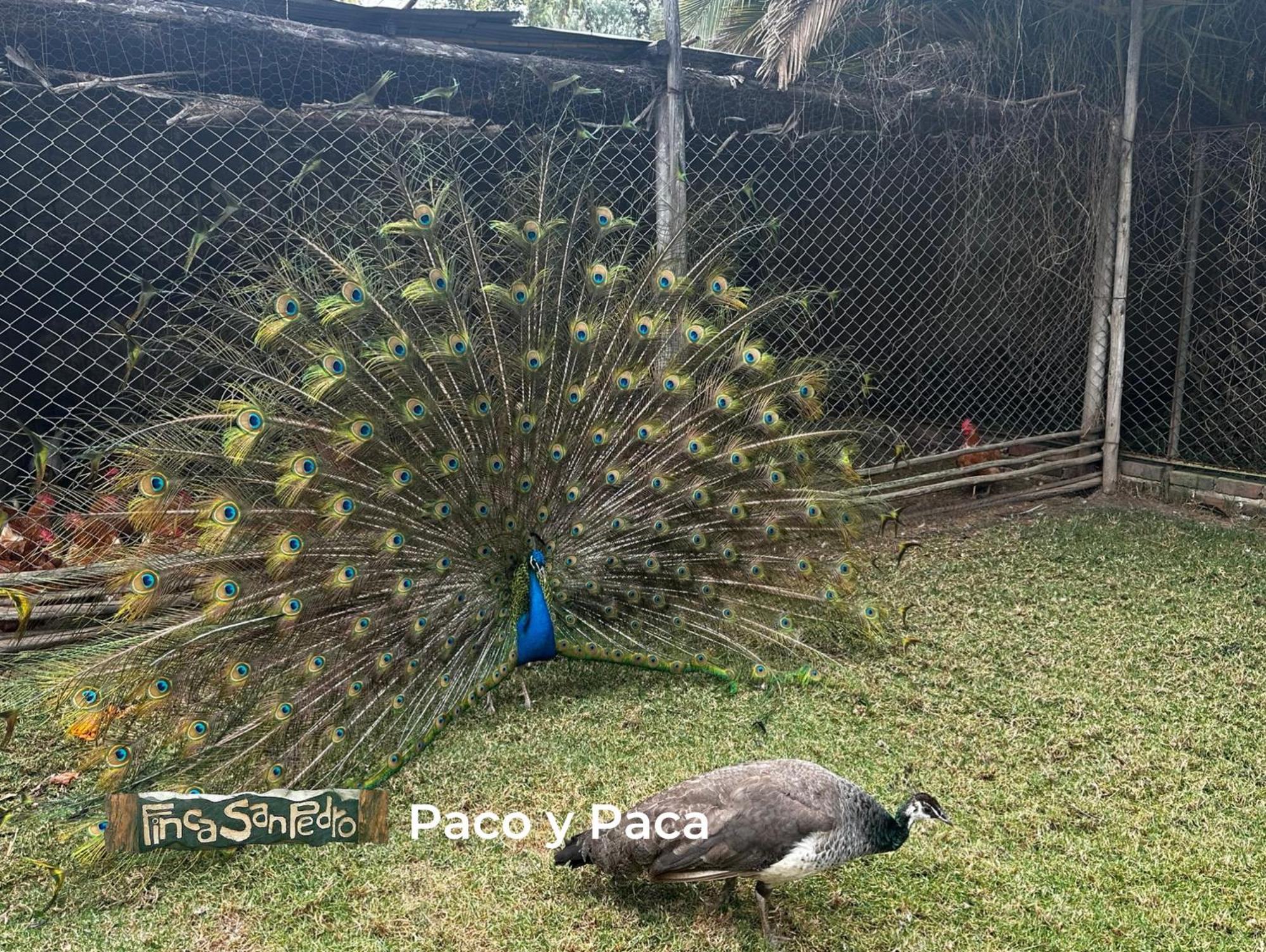 Finca San Pedro Sogamoso Bagian luar foto